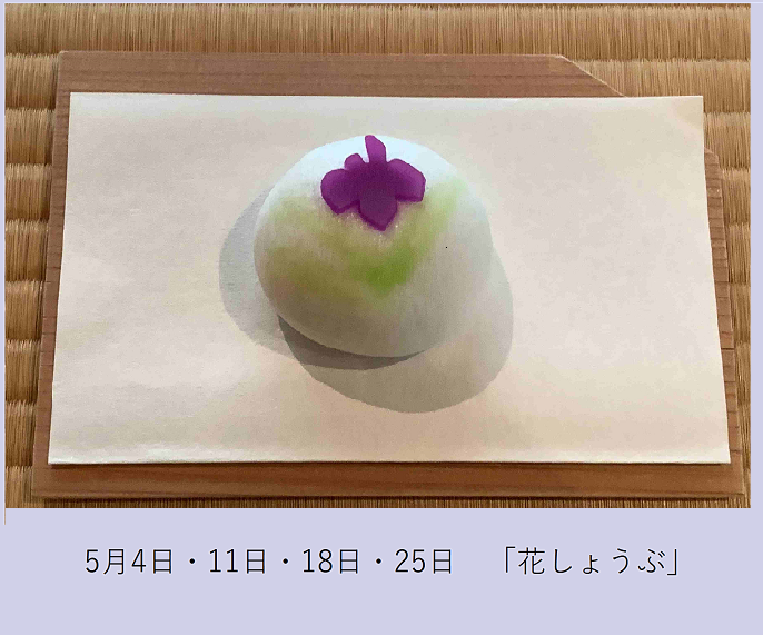 花しょうぶ.png