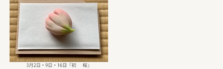 お菓子画像２